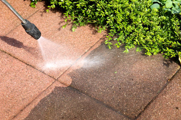 Best Exterior Home Cleaning  in Caruthersville, MO